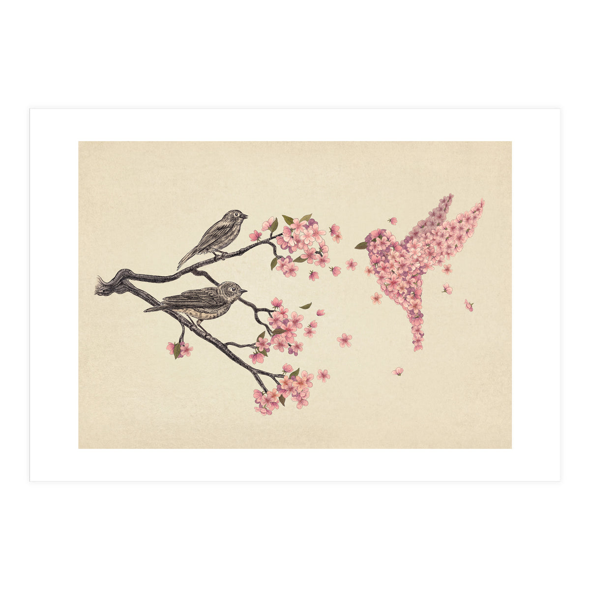 Blossom Bird (Print Only)