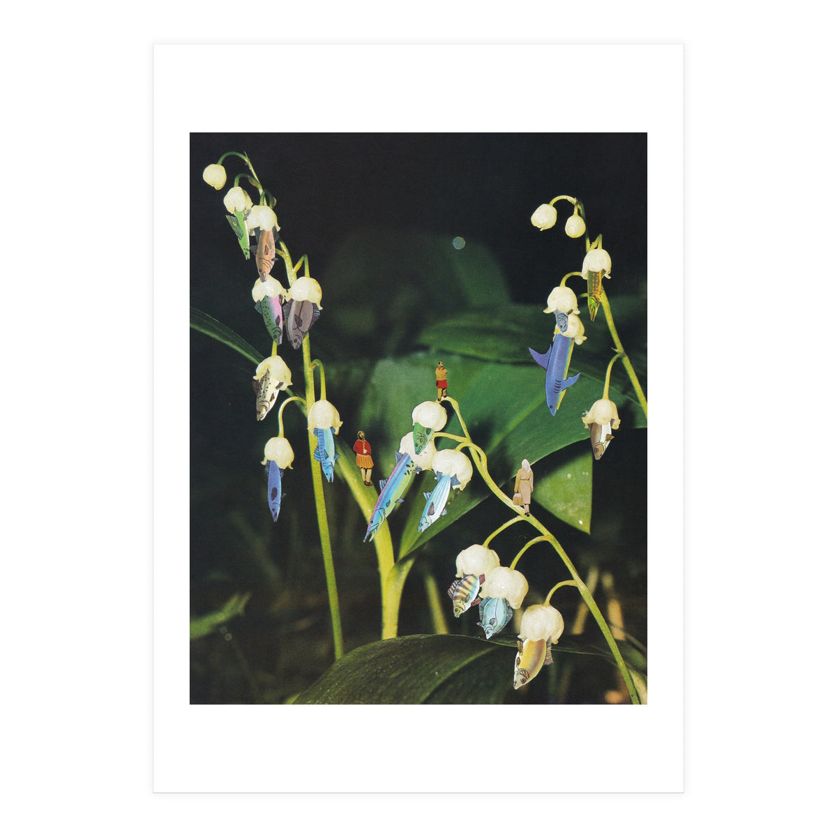 Fishflower (Print Only)