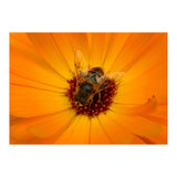 Bee Kind (Print Only) thumbnail