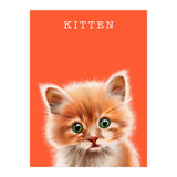 Kitten (Print Only) thumbnail