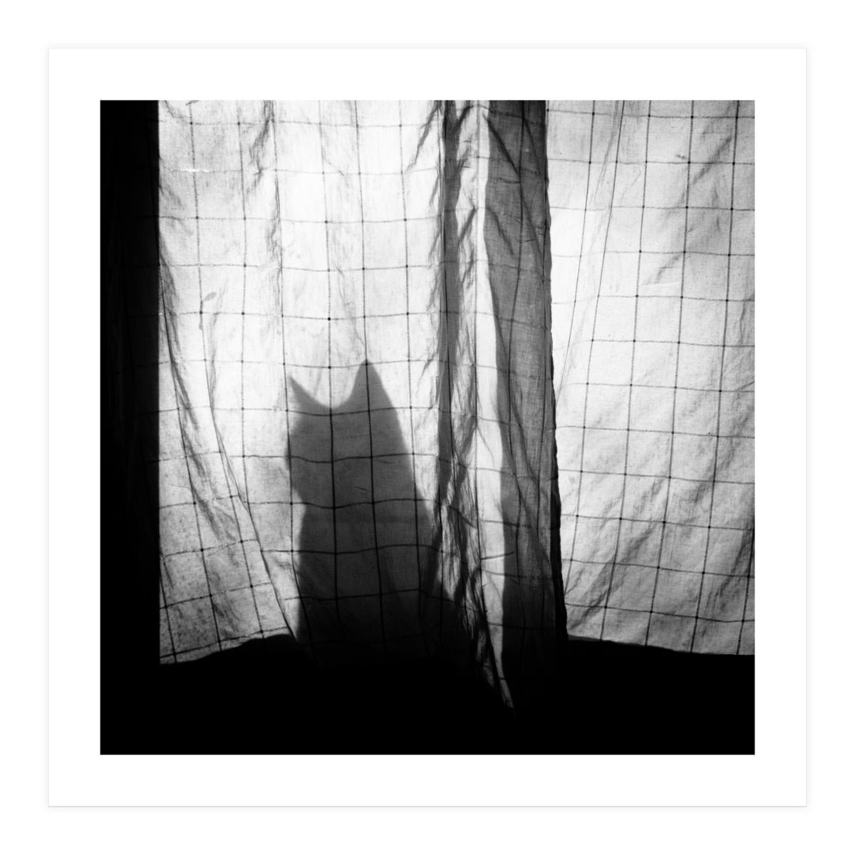 Mr. Wallace (Print Only)