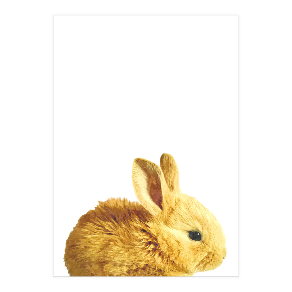 Bunny Portrait (Print Only)