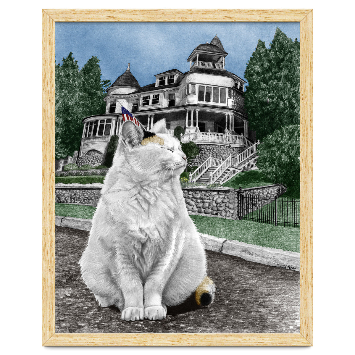 Mackinac Island Cat