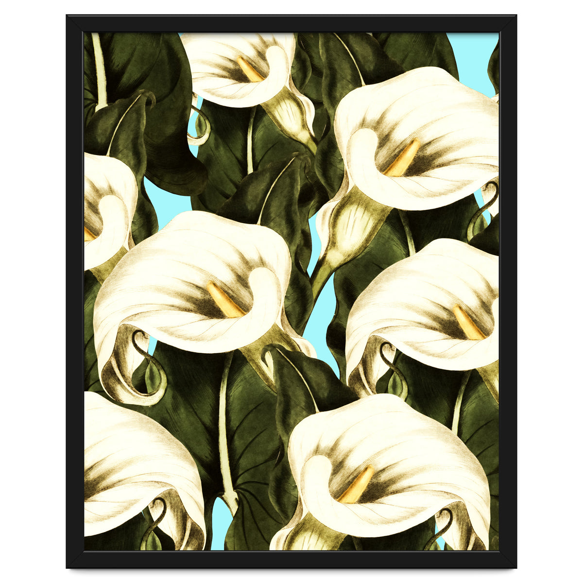 Pattern floral Ethiopian-Calla