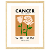 Cancer Birth Flower White Rose