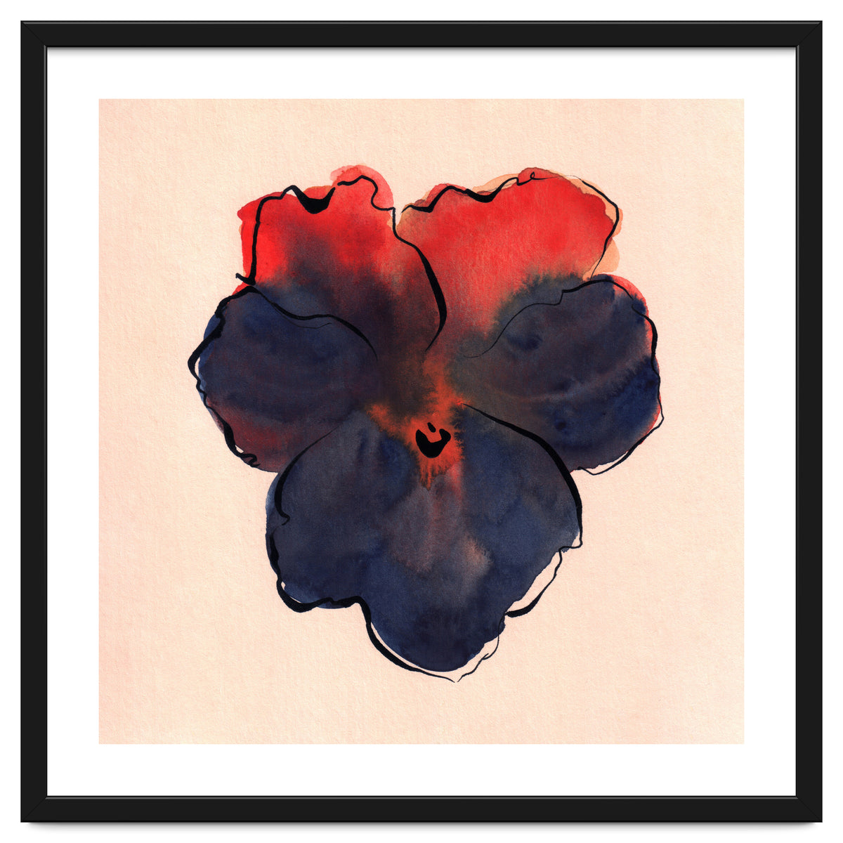 Blue Pansy