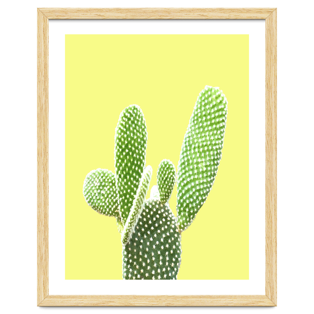 Cactus Yellow Background