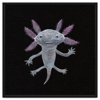 Axolotl