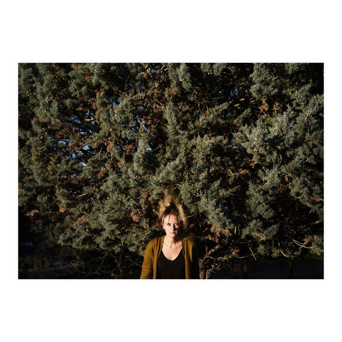 Autumn Portrait (Print Only)