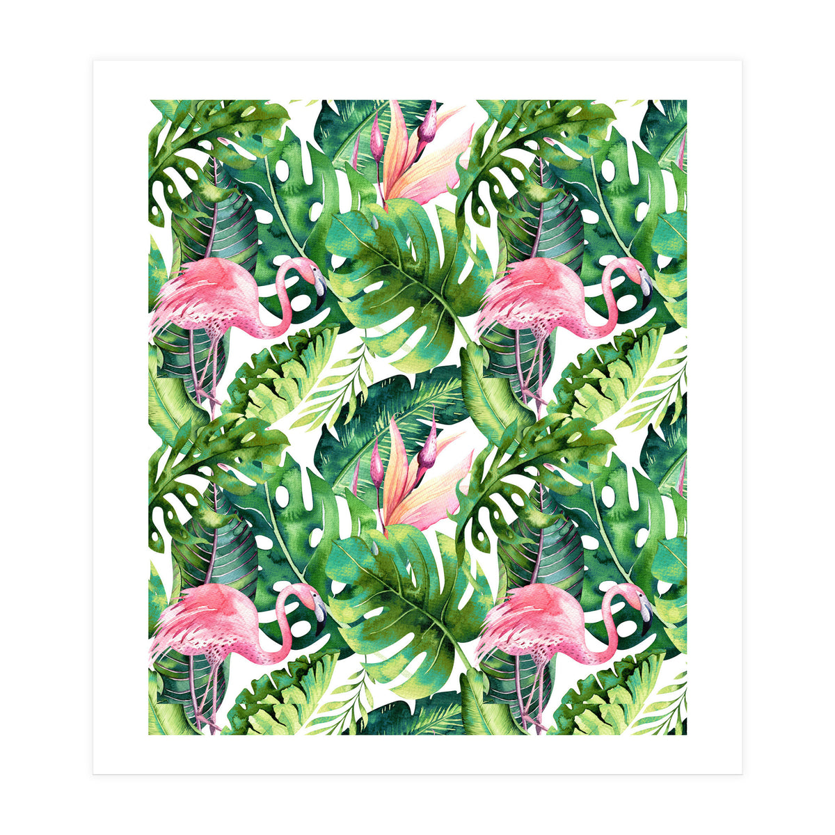 Flamingo Tropical II (Print Only)