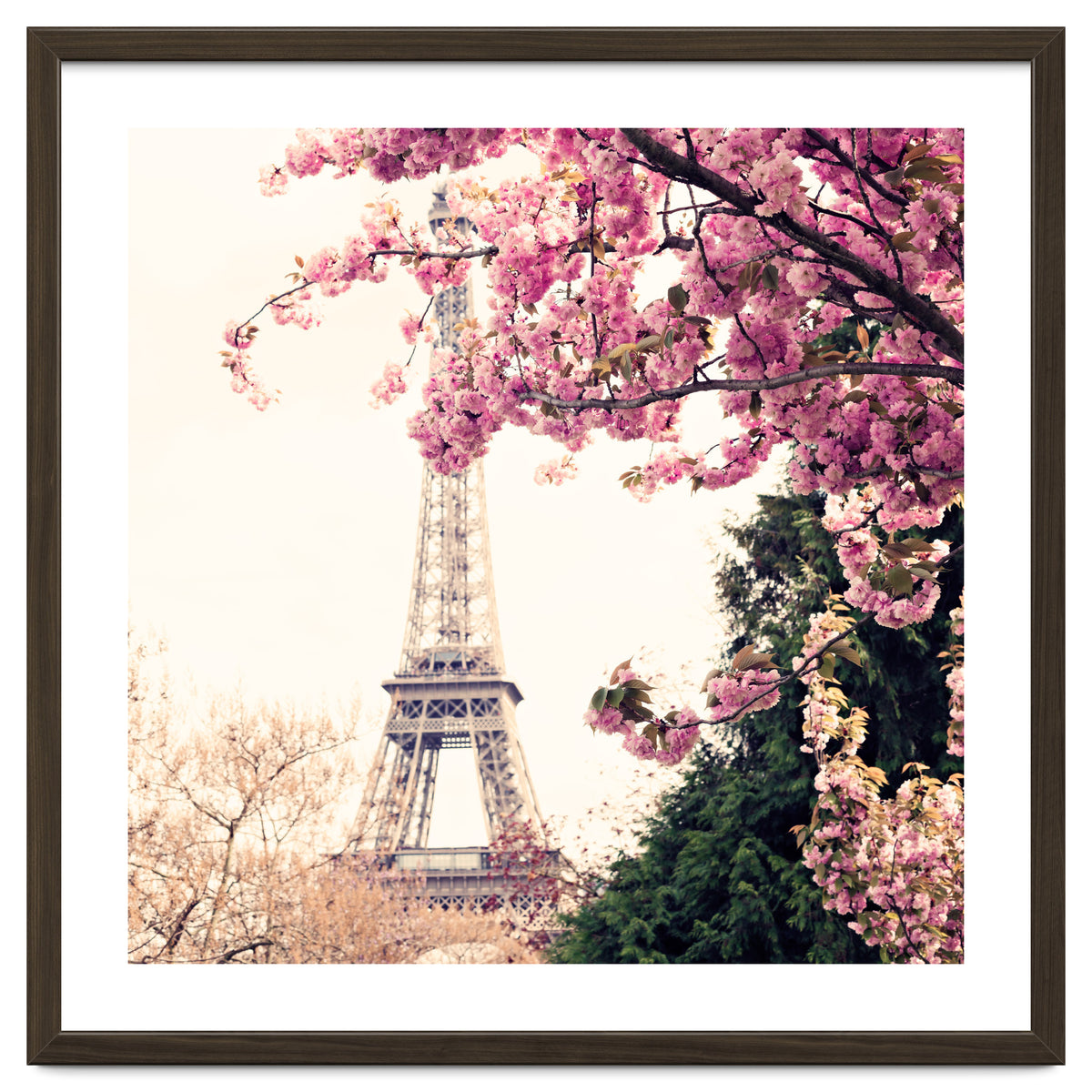 Paris in the Spring