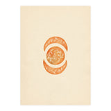 Botanical moon shapes (Print Only) thumbnail