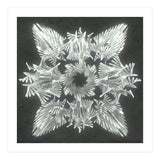 A Winged Debacle (Print Only) thumbnail