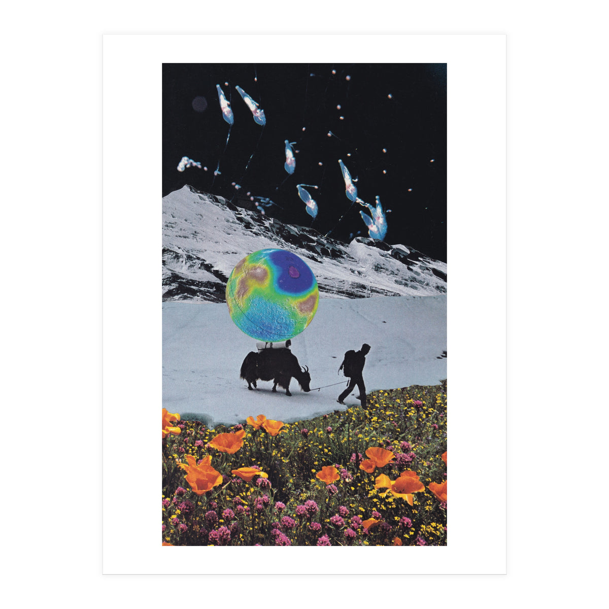 The Last Ice Age (Print Only)