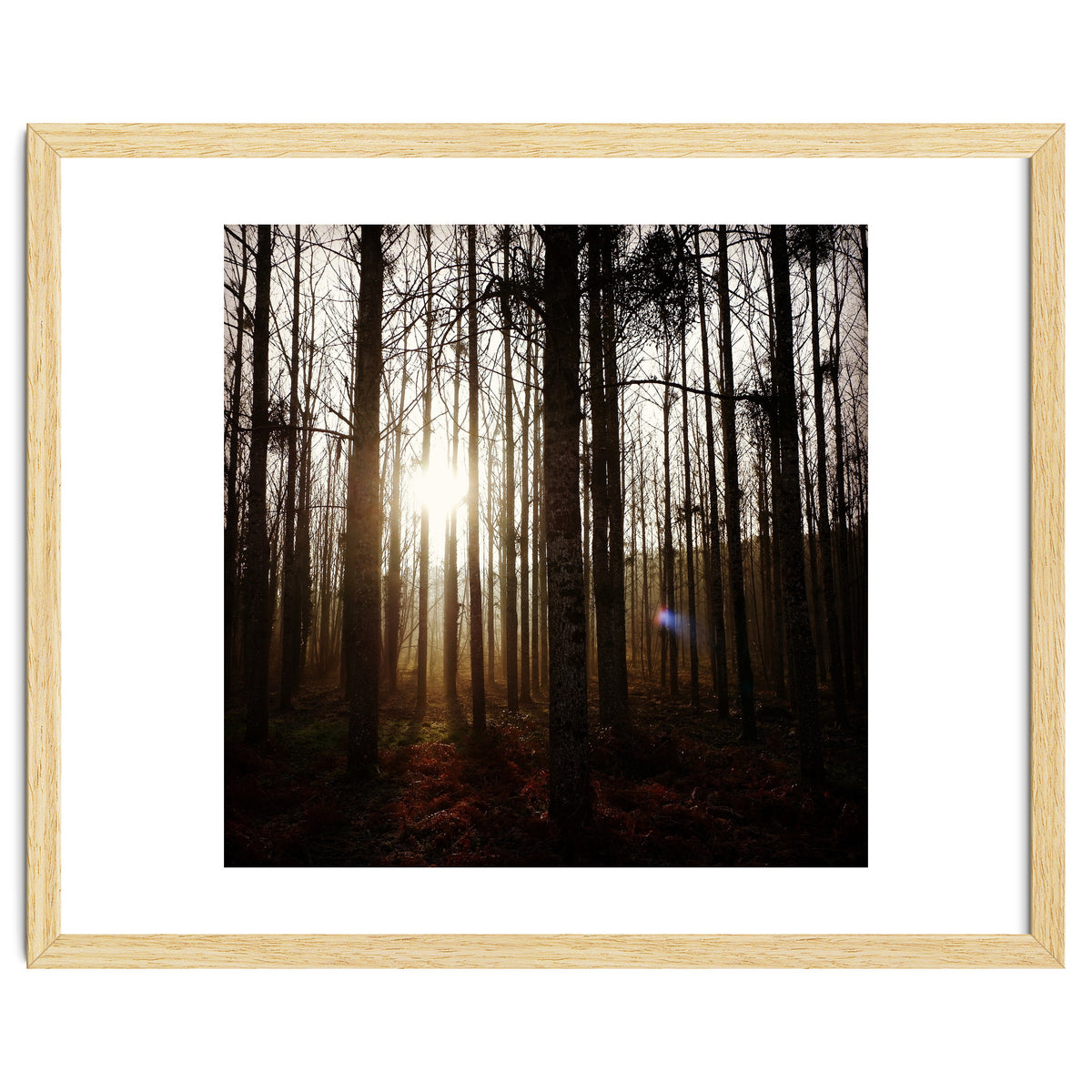 D3 A0 Cf3 E 6509 400 C 926 D 905230 D93 F61