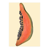 Papaya (Print Only) thumbnail