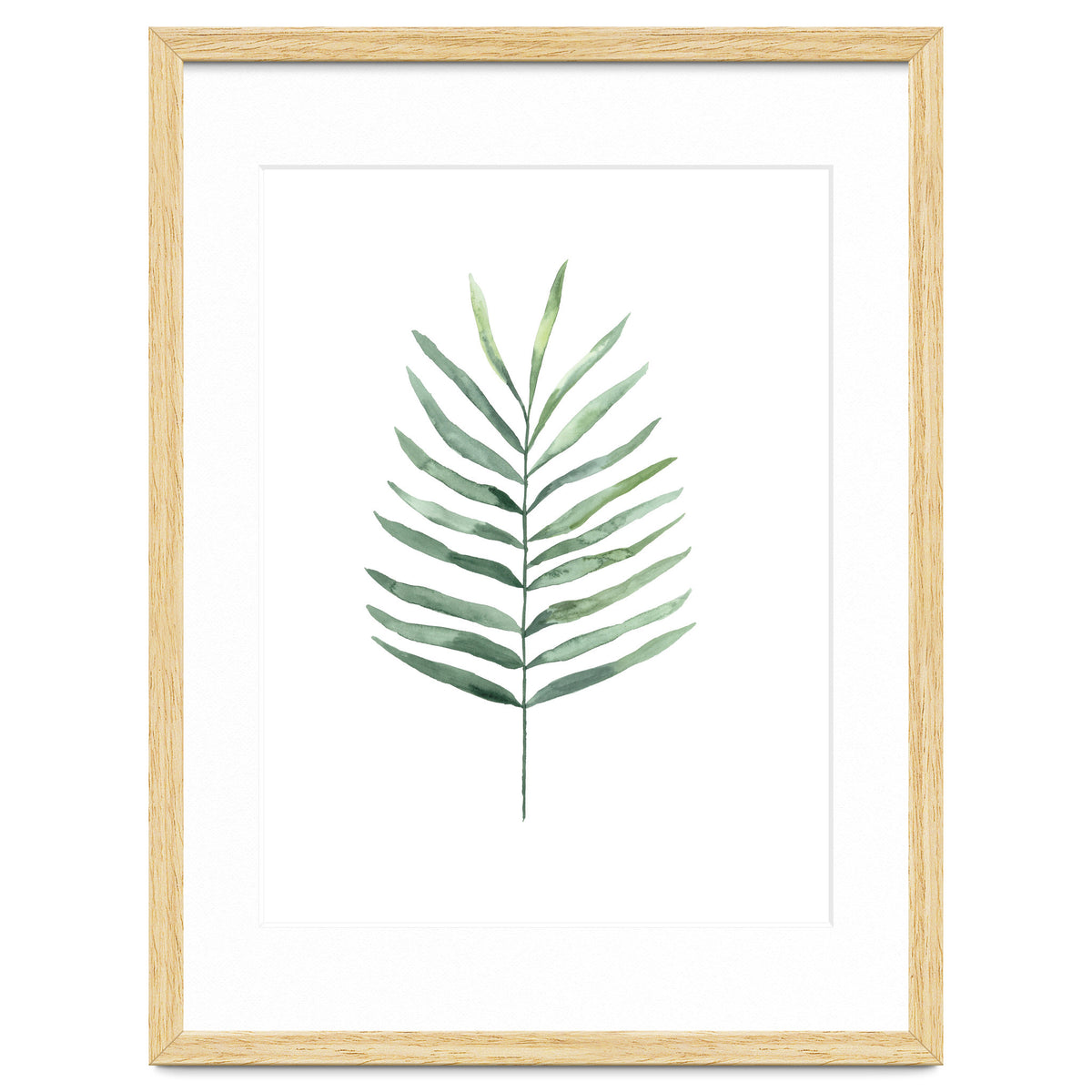 Botanical Illustration Fern