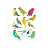 Parrotts in Glasses (Print Only) thumbnail