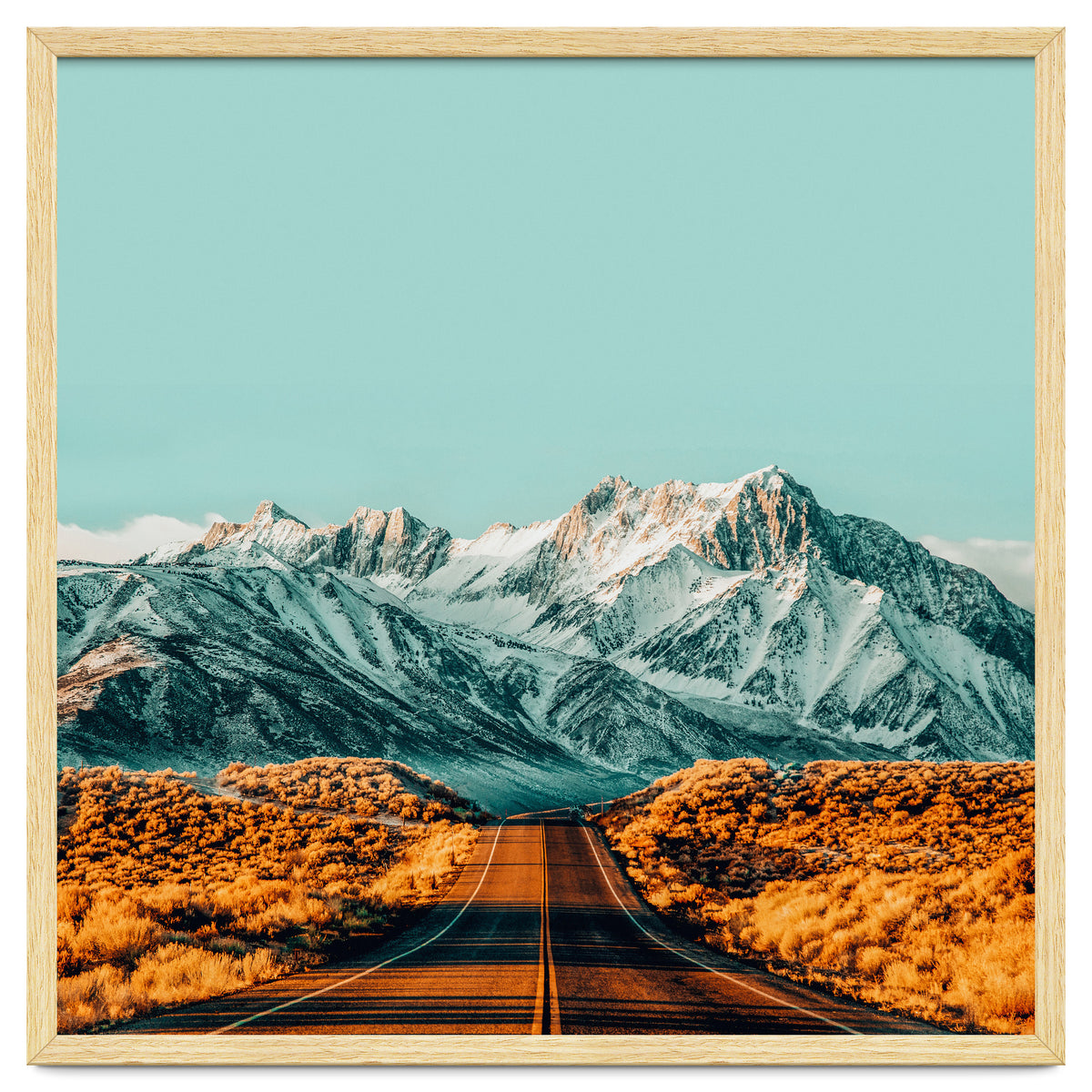 The Road Less Traveled