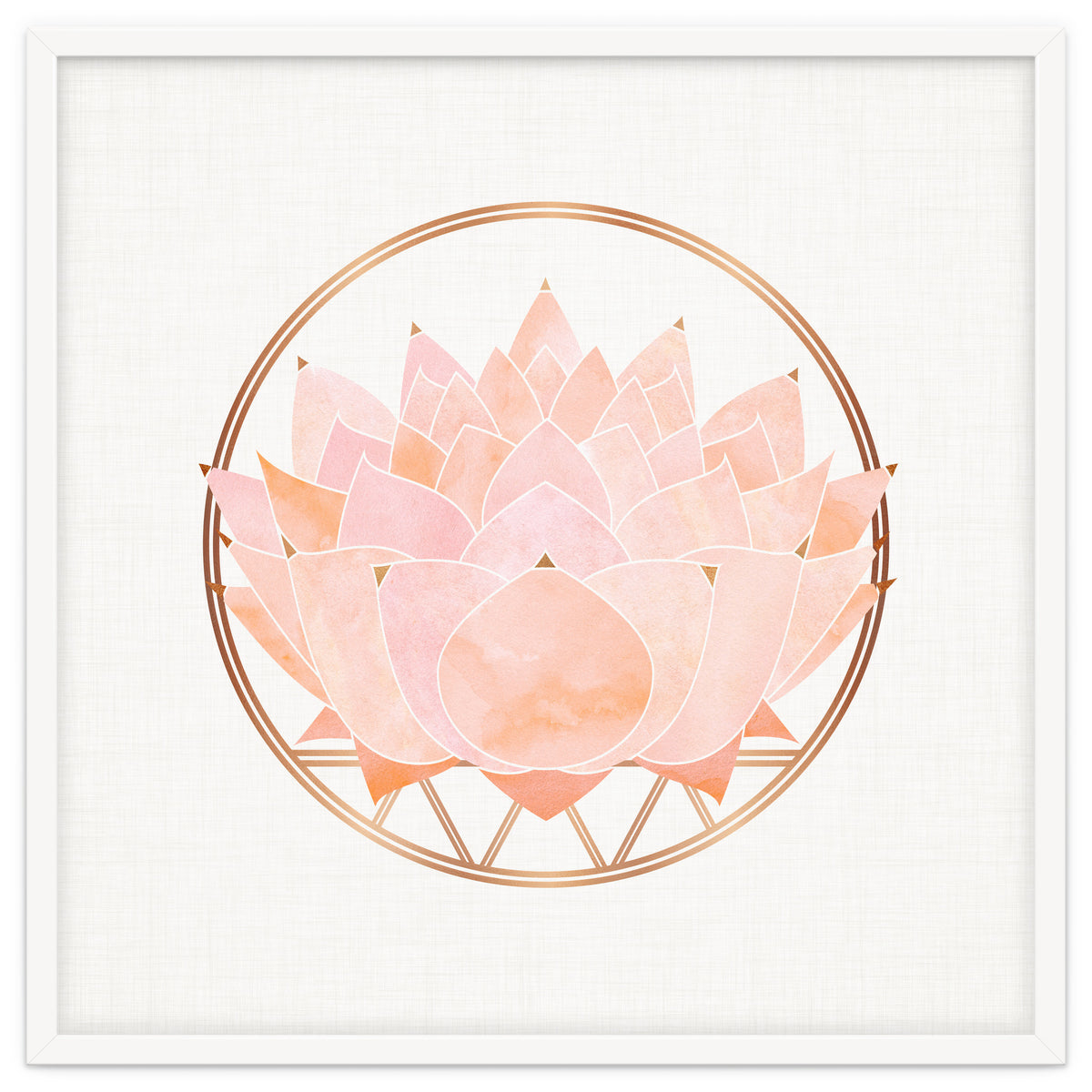 Peach Succulent  Blossom