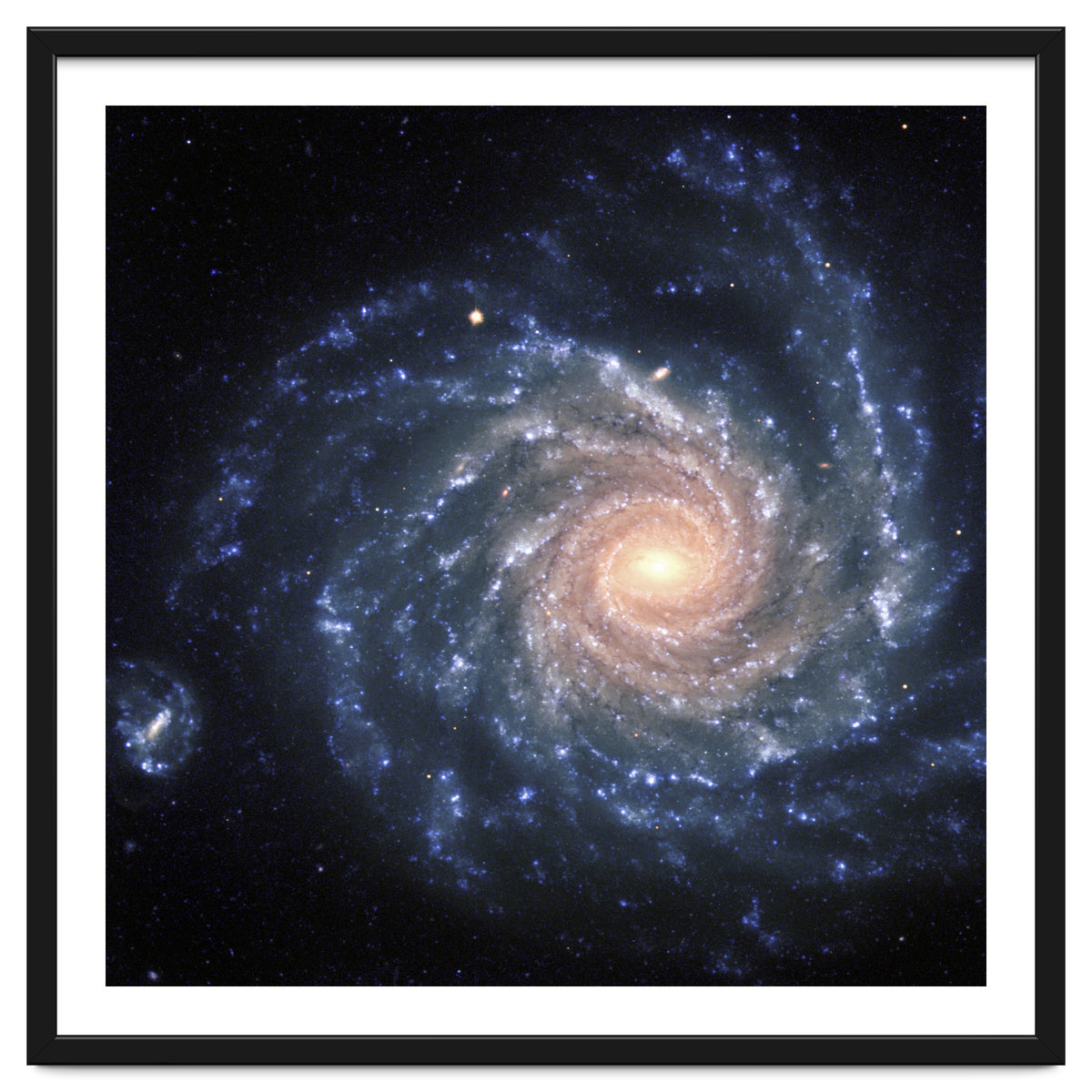 Spiral Galaxy NGC 1232