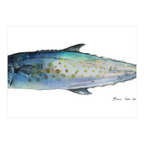 Fish Sierra (Print Only) thumbnail