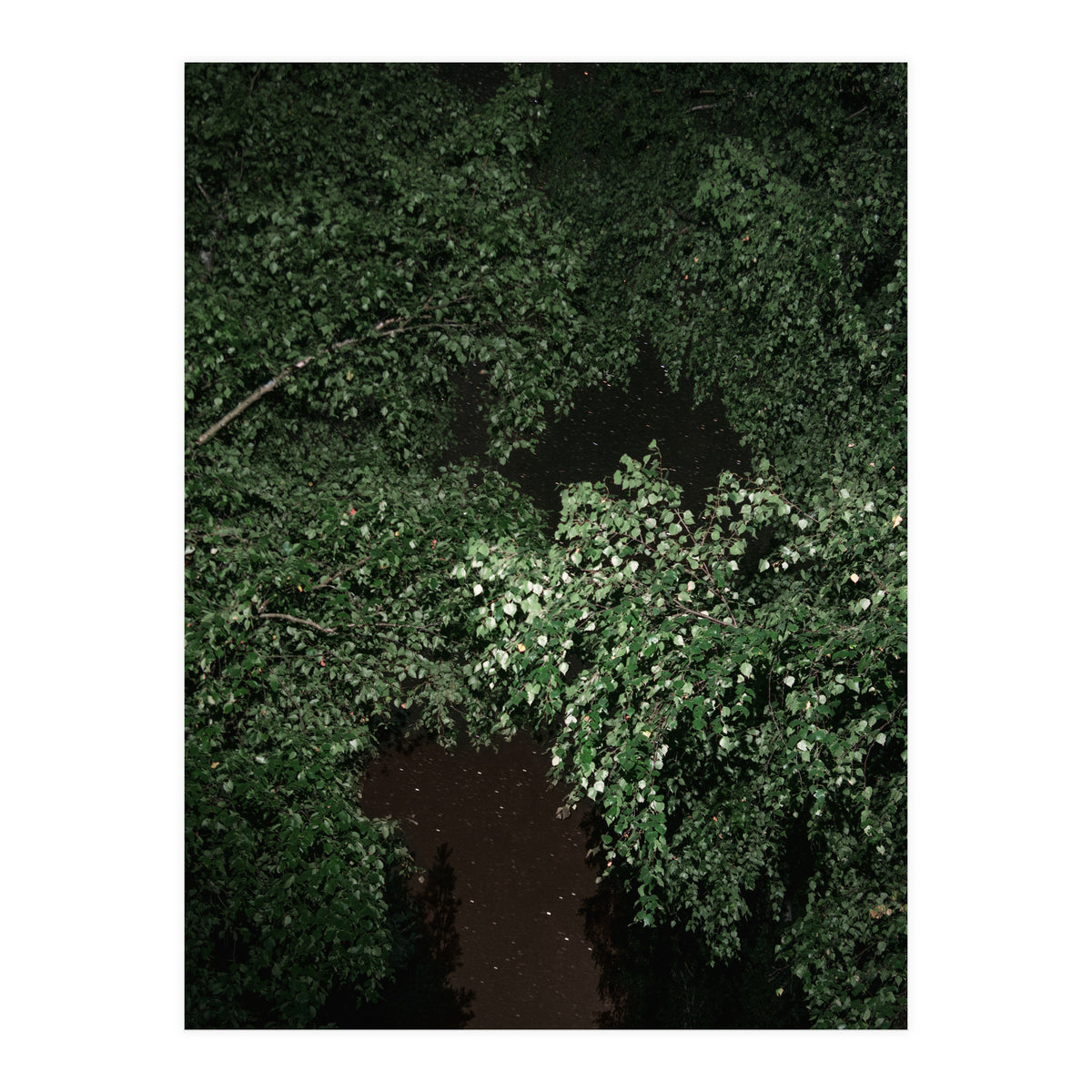 Greenscape (Print Only)