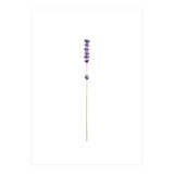 Lavender twig (Print Only) thumbnail