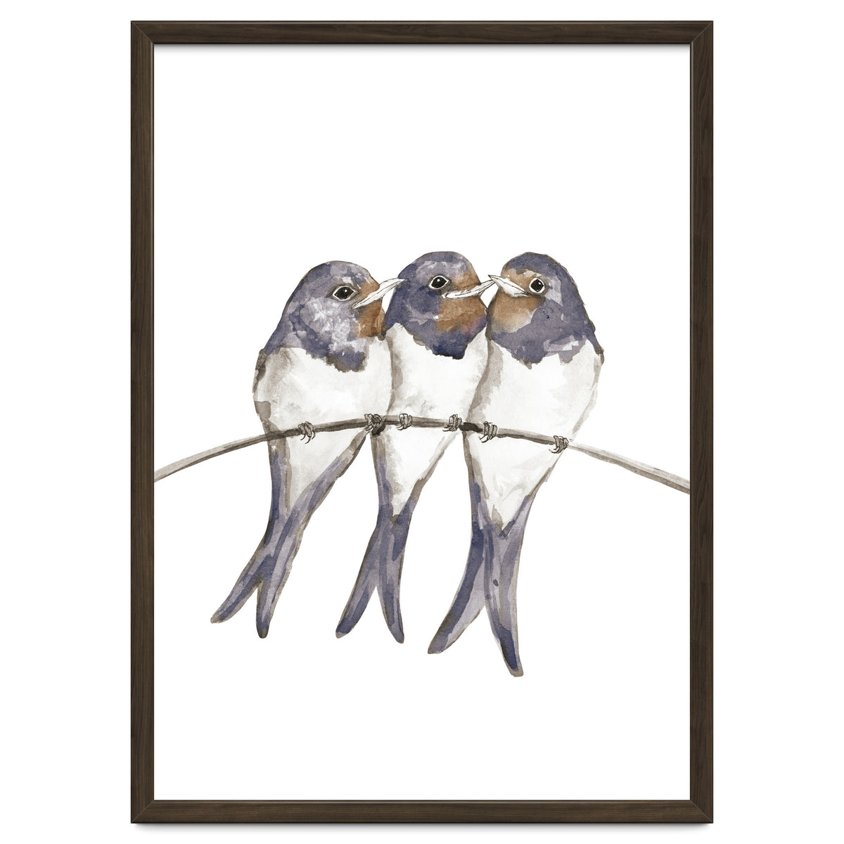 Three young swallows
