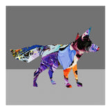 Crazy Ab Fox (Print Only) thumbnail