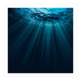 Nature (Print Only) thumbnail