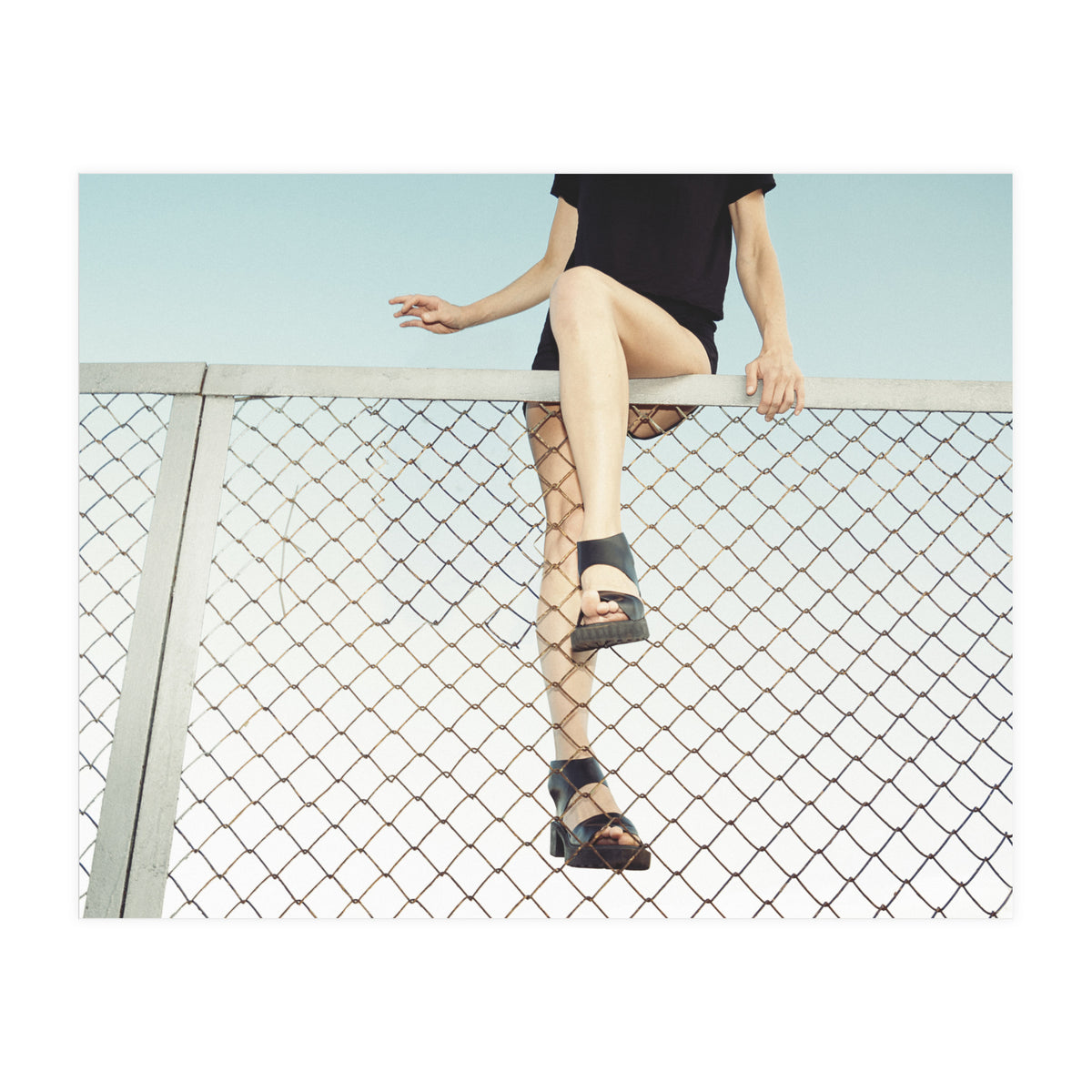 Hoping Fences (Print Only)