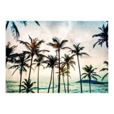 No Palm Trees (Print Only) thumbnail
