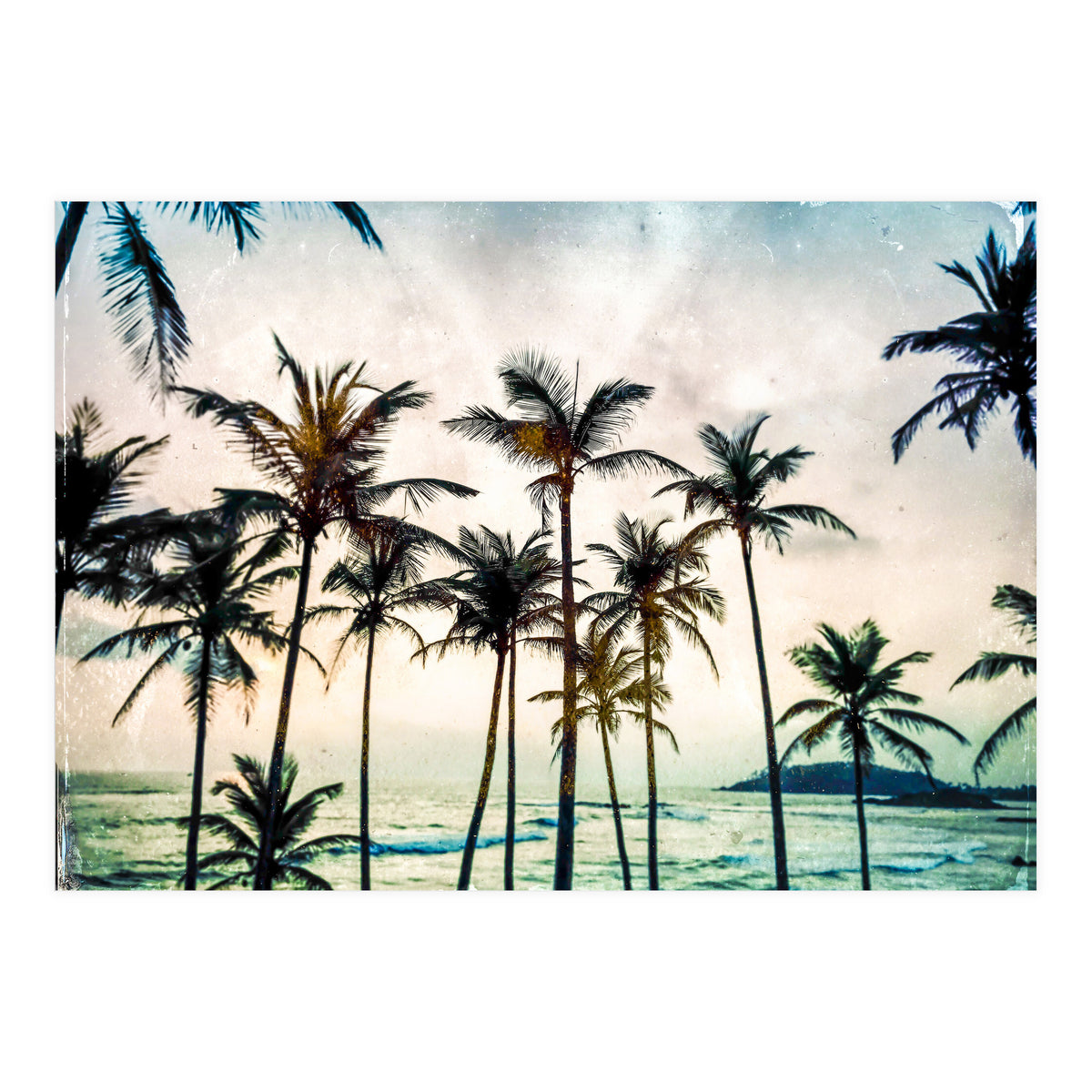 No Palm Trees (Print Only)