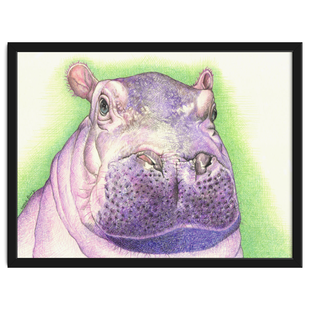 Purple Hippo