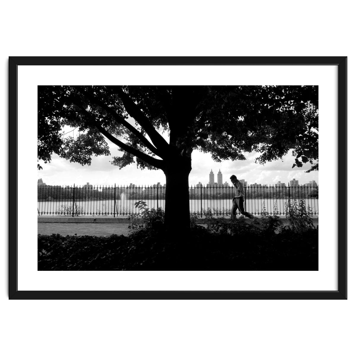 Central Park, New York City