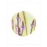 Circular Verbena (Print Only) thumbnail