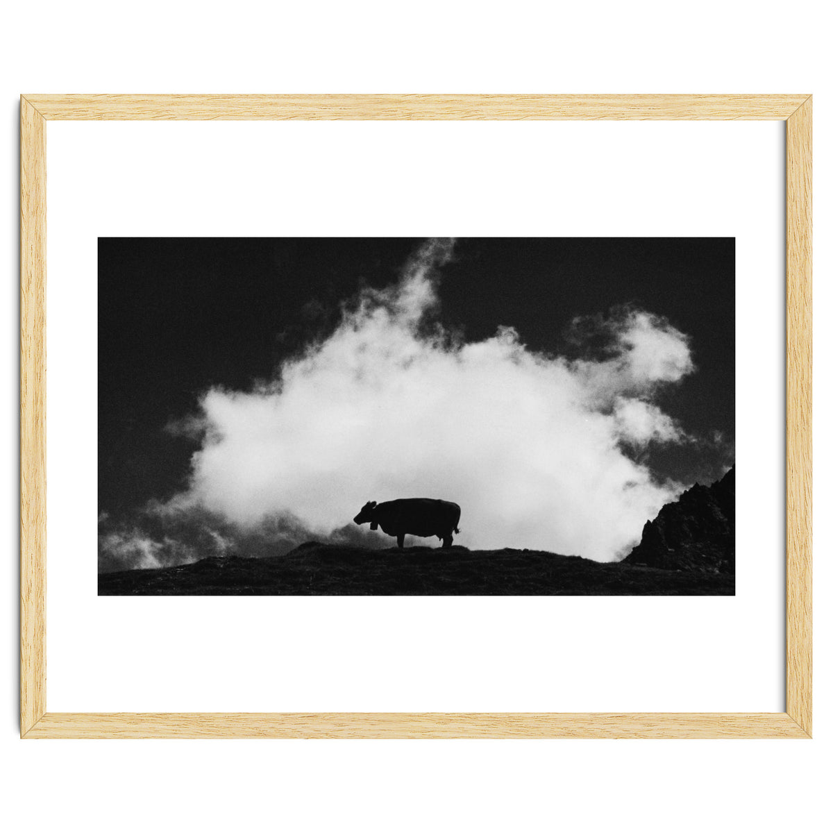 cow and cloud