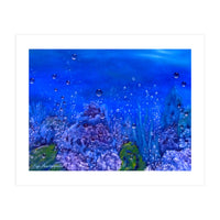 Coral Reef (Print Only)