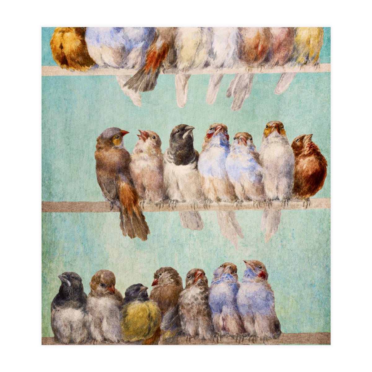 Birds Birds Birds (Print Only)