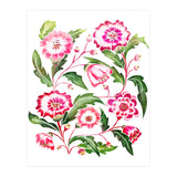 Flori (Print Only) thumbnail