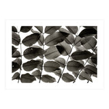 Branches and Leaves I (Print Only) thumbnail