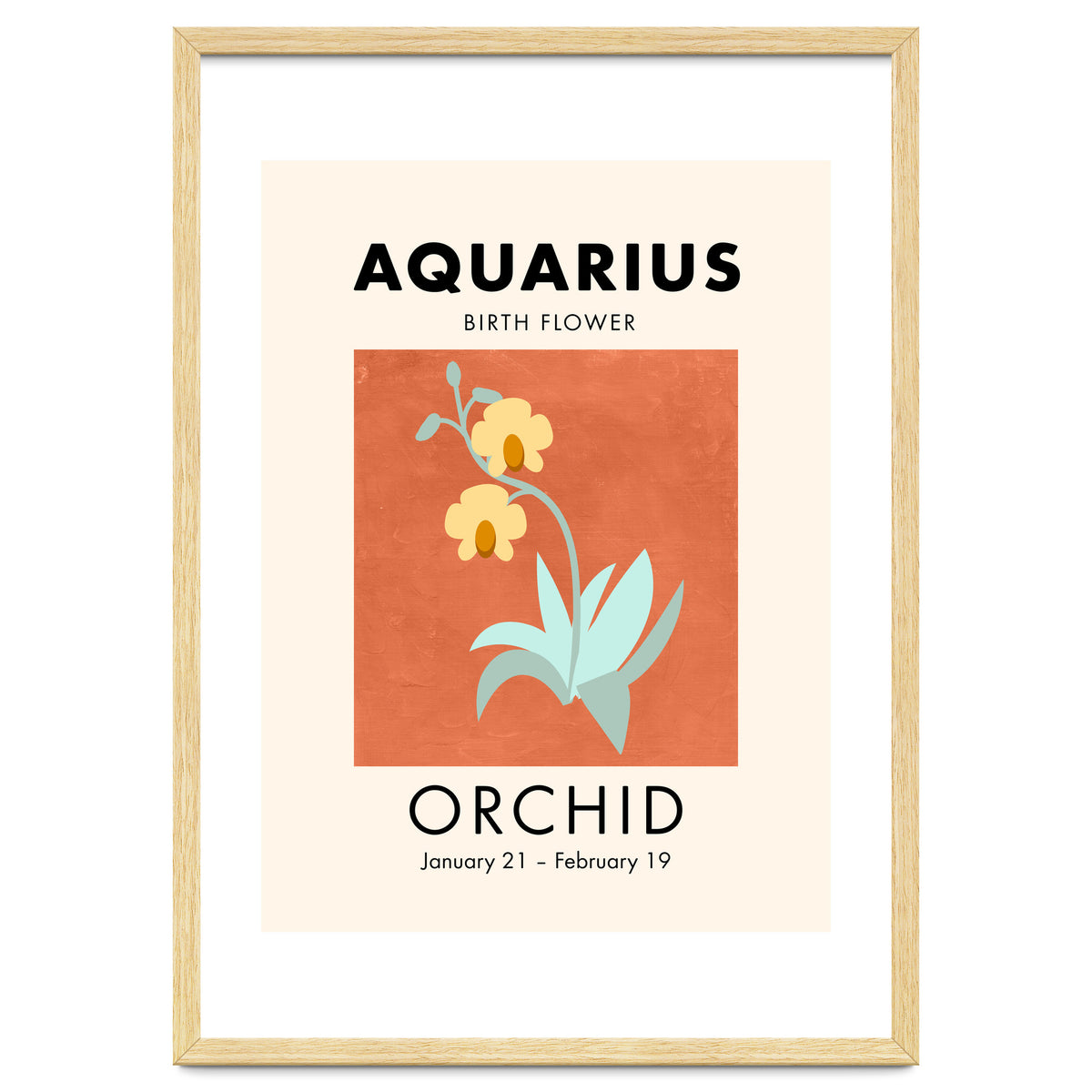 Aquarius Birth Flower Orchid