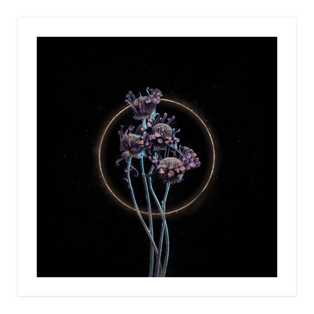 Candy-Coloured Mystery (Print Only)