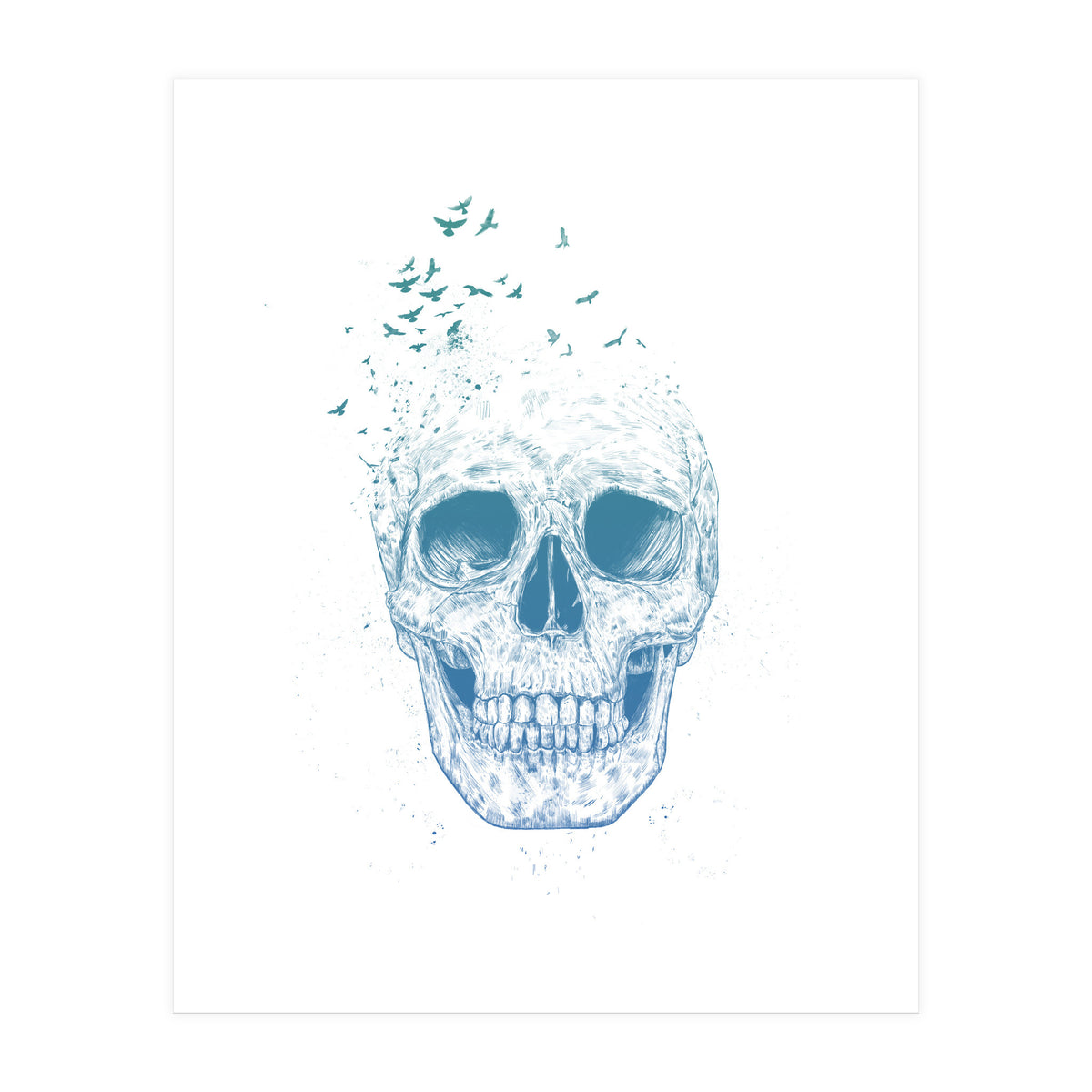 Let Them Fly Ii (Print Only)