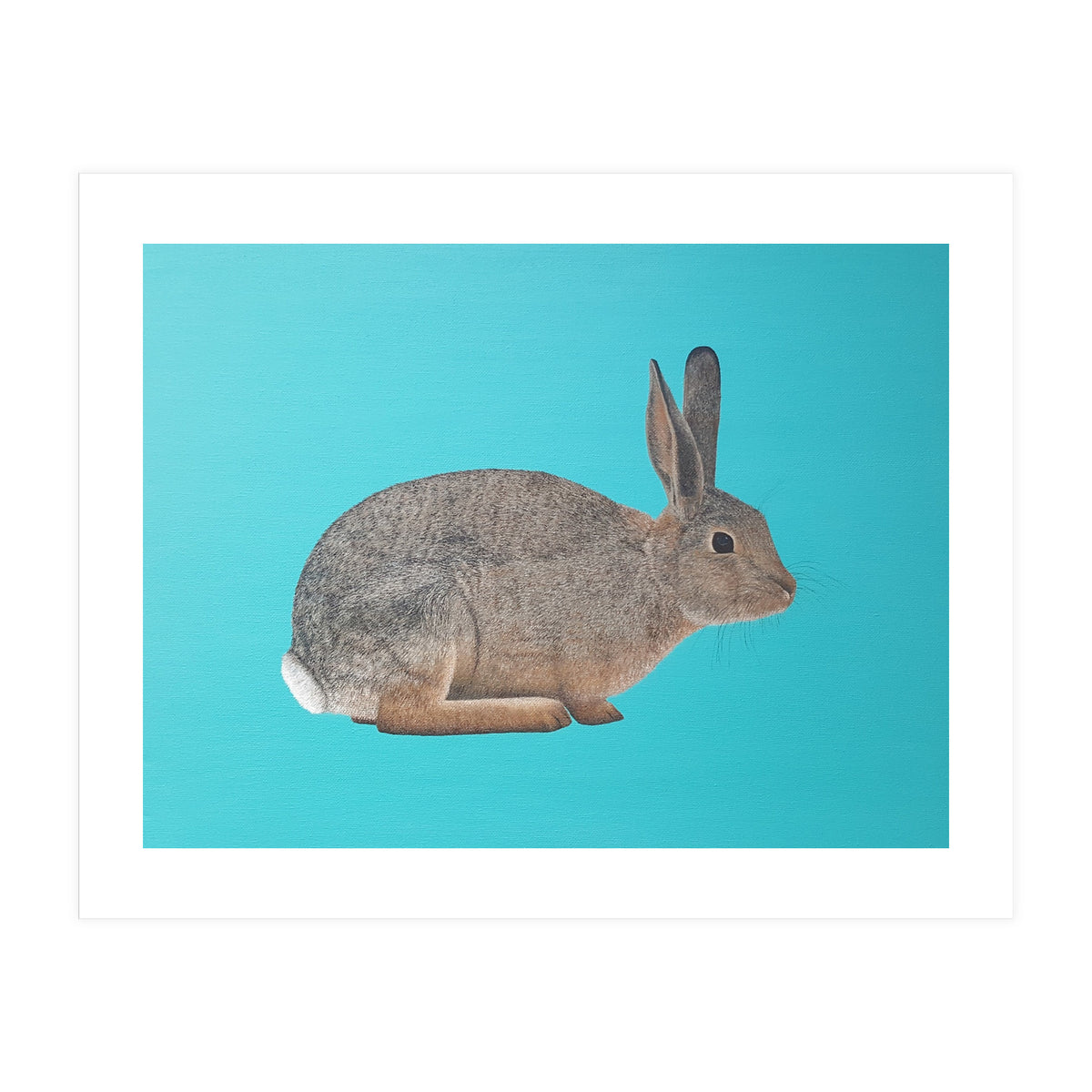 Rabbit (Print Only)