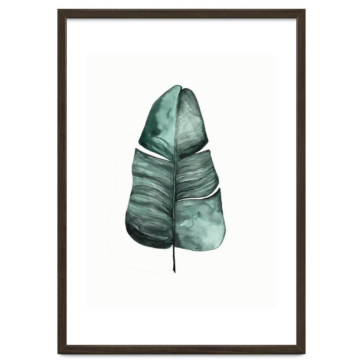 Botanical Illustration Banana Leaf