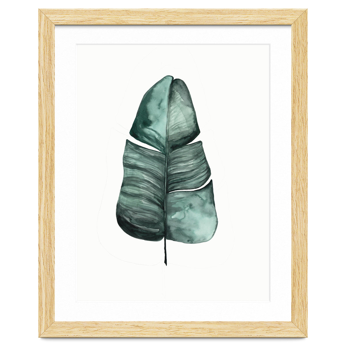 Botanical Illustration Banana Leaf