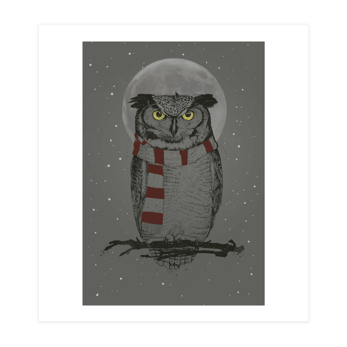 Winter Owl (Print Only)