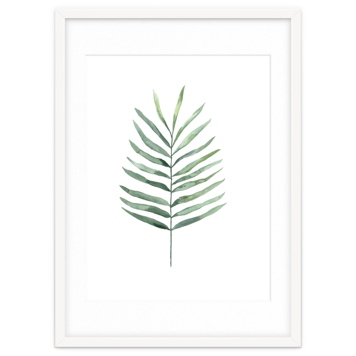 Botanical Illustration Fern